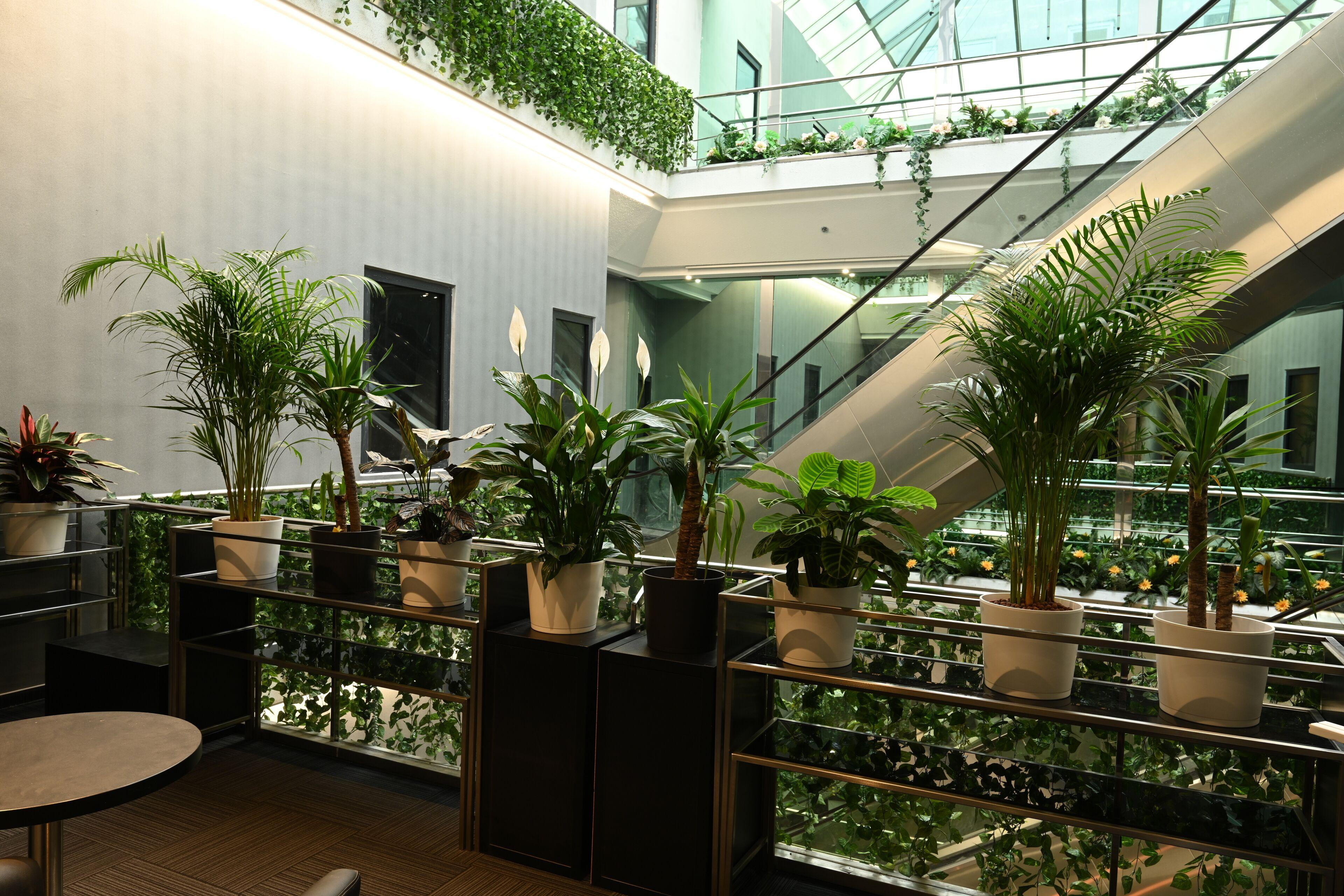 Fashion City Hotel Superior — Fotók 3